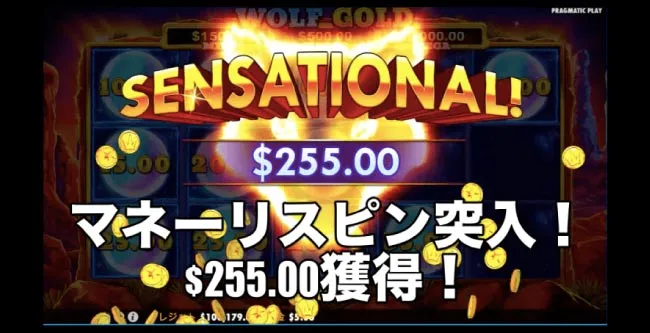 数分でマネーリスピン突入!$255獲得!